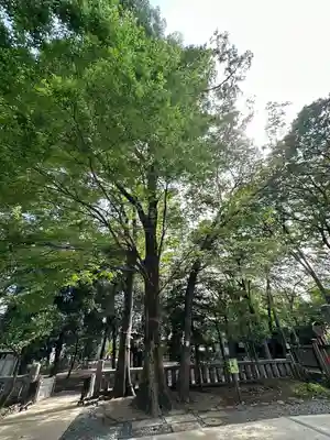 布多天神社(東京都)