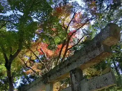 曼殊院門跡のその他建物