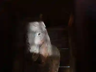 板倉雷電神社(群馬県)