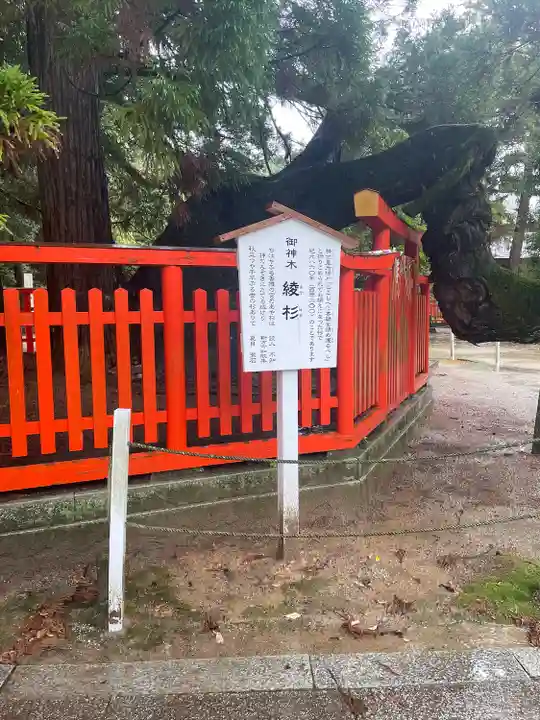 香椎宮(福岡県)