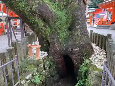 熊野那智大社のその他建物