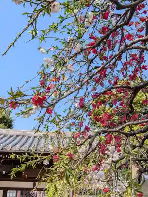 圓照寺(東京都)