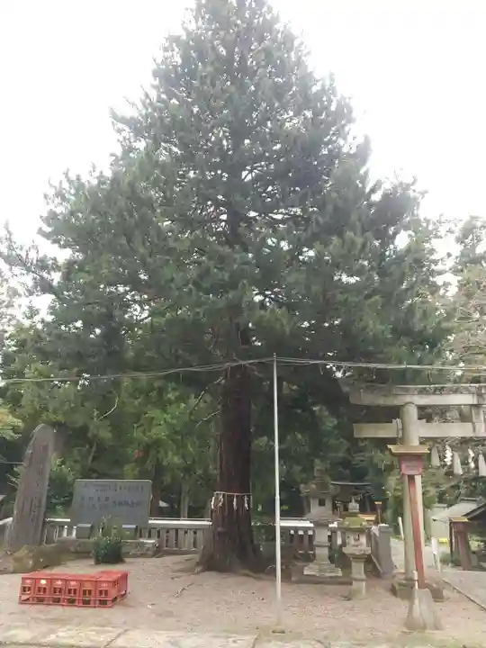 安房神社(栃木県)