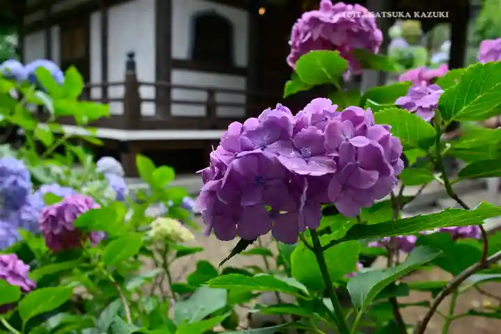 妙楽寺(神奈川県)