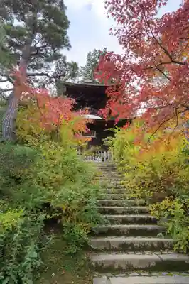 常寂光寺(京都府)