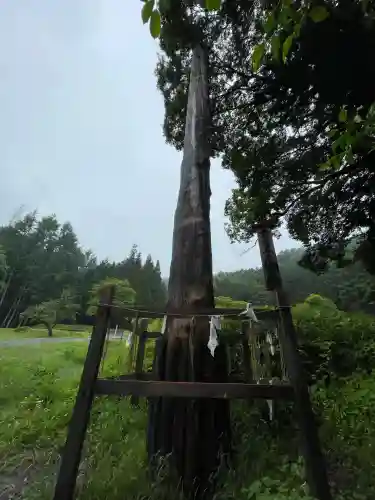 諏訪大社上社前宮(長野県)