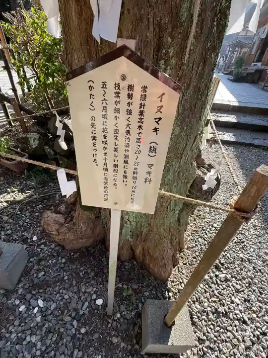 神明神社(石神さん)の{uncategorized: "未分類", other: "その他", undefined: "問題あり", building: "その他建物", grave: "お墓", sacred_gate: "鳥居", guardian: "狛犬", statue: "像", buddha: "仏像", history: "歴史", nature: "自然", garden: "庭園", animal: "動物", pagoda: "塔", temizu: "手水舎", mountain_gate: "山門・神門", sanctuary: "本殿・本堂", subordinate: "末社・摂社", art: "芸術", scenery: "景色", jizo: "地蔵", ema: "絵馬", goshuin: "御朱印", omikuji: "おみくじ", items: "授与品その他", amulet: "お守り", goshuincho: "御朱印帳", eats: "食事", festival: "お祭り", votive_dance: "神楽", shichigosan: "七五三参", wedding: "結婚式", experience: "体験その他", initially: "初詣", around: "周辺", anti_infection: "感染症対策"}