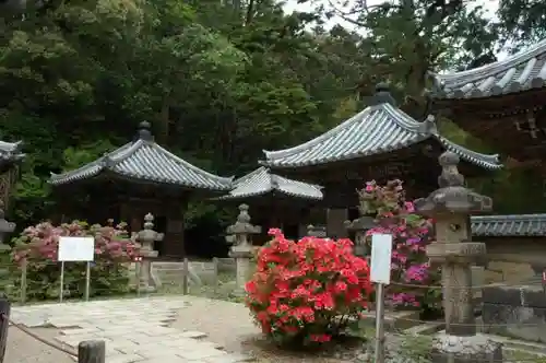 圓教寺のお墓