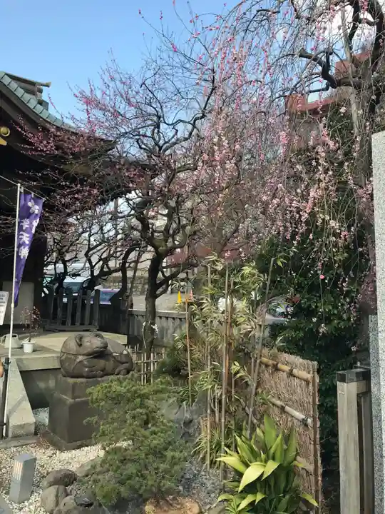 牛天神北野神社(東京都)