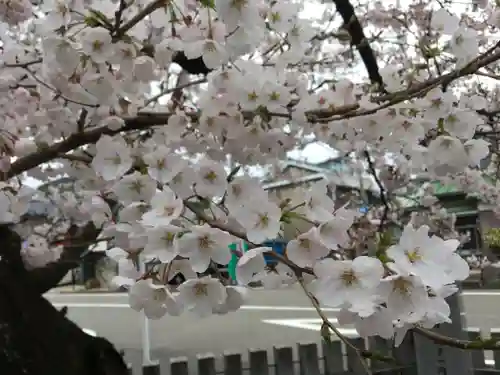 春日神社の自然