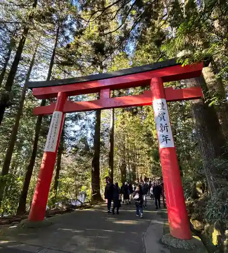 箱根神社(神奈川県)
