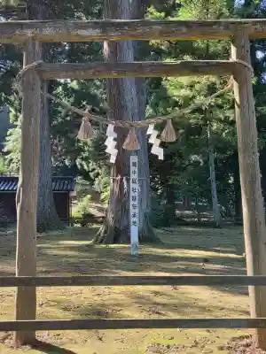 気多神社の{uncategorized: "未分類", other: "その他", undefined: "問題あり", building: "その他建物", grave: "お墓", sacred_gate: "鳥居", guardian: "狛犬", statue: "像", buddha: "仏像", history: "歴史", nature: "自然", garden: "庭園", animal: "動物", pagoda: "塔", temizu: "手水舎", mountain_gate: "山門・神門", sanctuary: "本殿・本堂", subordinate: "末社・摂社", art: "芸術", scenery: "景色", jizo: "地蔵", ema: "絵馬", goshuin: "御朱印", omikuji: "おみくじ", items: "授与品その他", amulet: "お守り", goshuincho: "御朱印帳", eats: "食事", festival: "お祭り", votive_dance: "神楽", shichigosan: "七五三参", wedding: "結婚式", experience: "体験その他", initially: "初詣", around: "周辺", anti_infection: "感染症対策"}