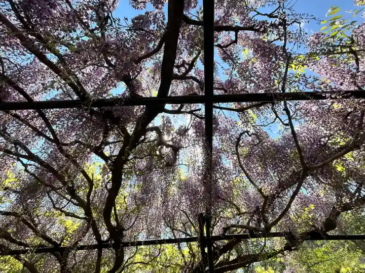 天台宗 五大山 白毫寺(兵庫県)