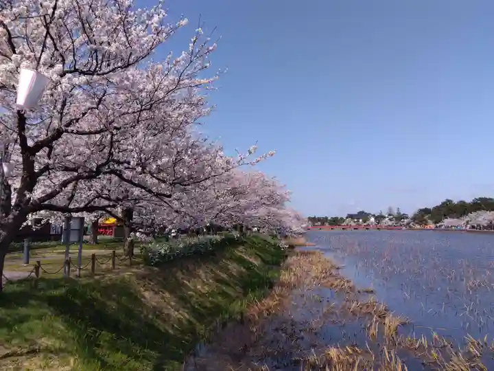 伊部波島大神(新潟県)