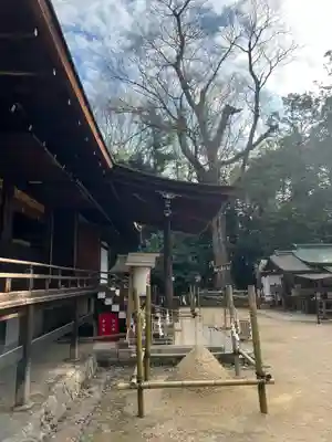 宇治上神社の本殿・本堂