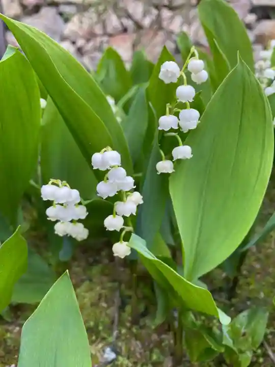 永澤寺(兵庫県)
