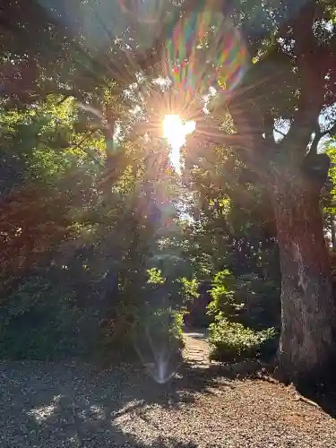 日枝神社の{uncategorized: "未分類", other: "その他", undefined: "問題あり", building: "その他建物", grave: "お墓", sacred_gate: "鳥居", guardian: "狛犬", statue: "像", buddha: "仏像", history: "歴史", nature: "自然", garden: "庭園", animal: "動物", pagoda: "塔", temizu: "手水舎", mountain_gate: "山門・神門", sanctuary: "本殿・本堂", subordinate: "末社・摂社", art: "芸術", scenery: "景色", jizo: "地蔵", ema: "絵馬", goshuin: "御朱印", omikuji: "おみくじ", items: "授与品その他", amulet: "お守り", goshuincho: "御朱印帳", eats: "食事", festival: "お祭り", votive_dance: "神楽", shichigosan: "七五三参", wedding: "結婚式", experience: "体験その他", initially: "初詣", around: "周辺", anti_infection: "感染症対策"}