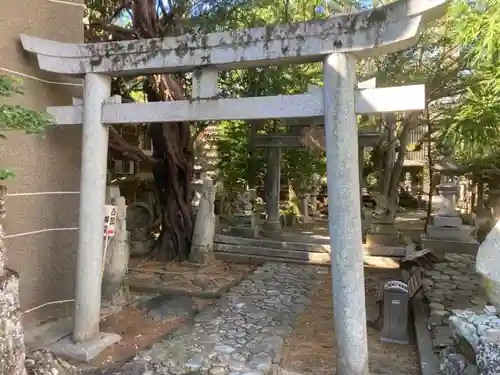 多賀神社の鳥居