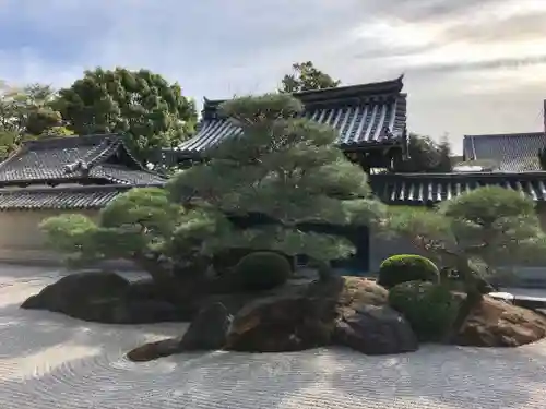 観智院（東寺子院）の庭園