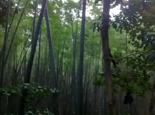 石清水八幡宮の自然