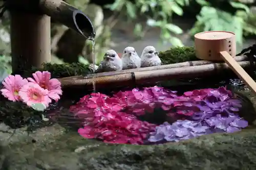 柳谷観音　楊谷寺の手水舎