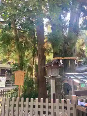 大神神社(奈良県)