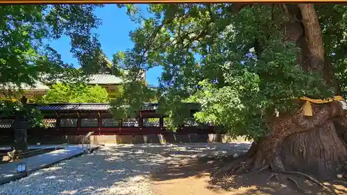 上野東照宮(東京都)