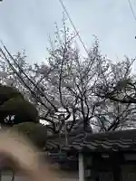 妙琳坊(大阪府)