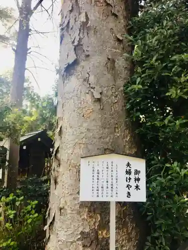 阿佐ヶ谷神明宮の歴史