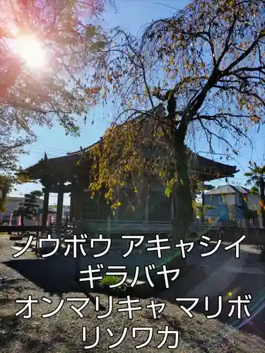 大光寺の末社・摂社