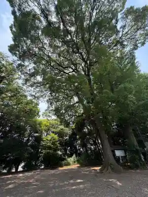 篠原八幡神社(神奈川県)