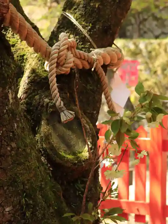 金櫻神社の{uncategorized: "未分類", other: "その他", undefined: "問題あり", building: "その他建物", grave: "お墓", sacred_gate: "鳥居", guardian: "狛犬", statue: "像", buddha: "仏像", history: "歴史", nature: "自然", garden: "庭園", animal: "動物", pagoda: "塔", temizu: "手水舎", mountain_gate: "山門・神門", sanctuary: "本殿・本堂", subordinate: "末社・摂社", art: "芸術", scenery: "景色", jizo: "地蔵", ema: "絵馬", goshuin: "御朱印", omikuji: "おみくじ", items: "授与品その他", amulet: "お守り", goshuincho: "御朱印帳", eats: "食事", festival: "お祭り", votive_dance: "神楽", shichigosan: "七五三参", wedding: "結婚式", experience: "体験その他", initially: "初詣", around: "周辺", anti_infection: "感染症対策"}