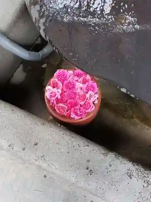 菅生神社の手水舎