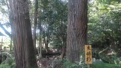 亀都起社の自然