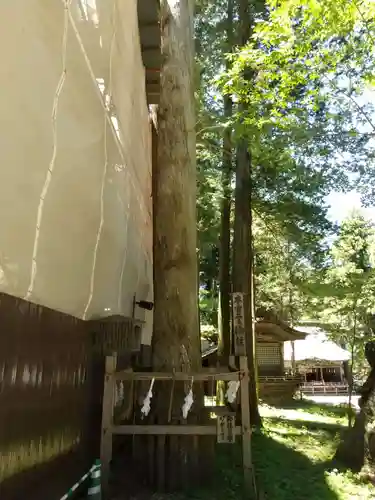 諏訪大社の自然