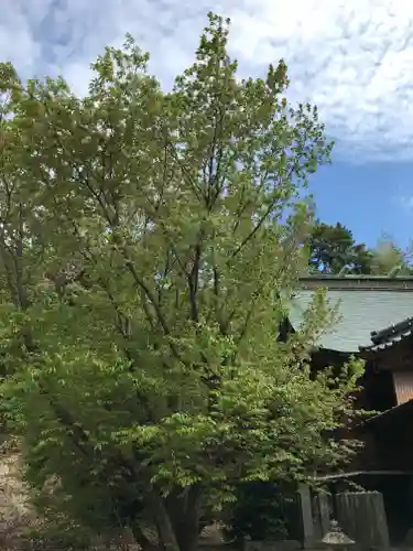 河内阿蘇神社の自然