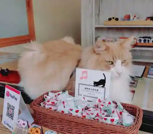 駒込妙義神社(東京都)