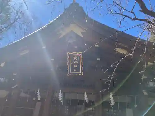 愛宕神社の本殿・本堂