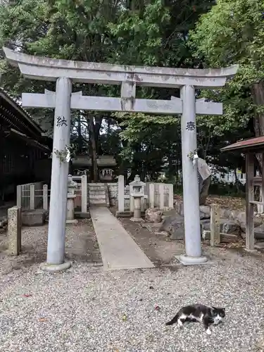 柏井八幡社の鳥居