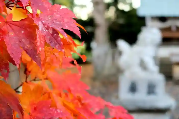 旭川神社の自然