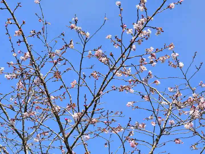 真福寺(岡山県)