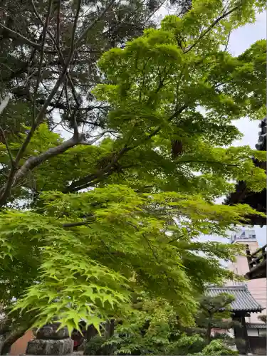 伊勢の国 四天王寺(三重県)