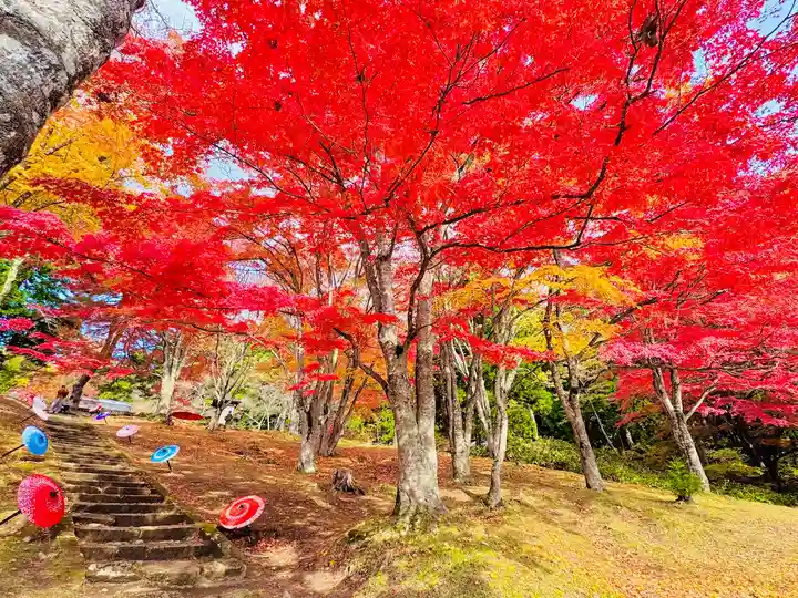 土津神社|こどもと出世の神さま(福島県)
