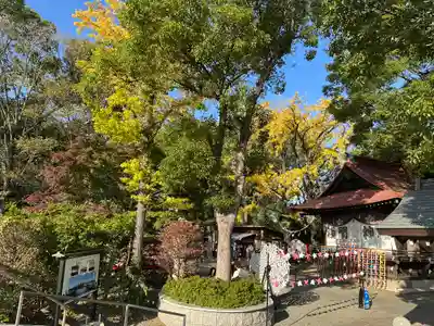 多摩川浅間神社(東京都)