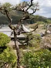 金剛城寺(兵庫県)