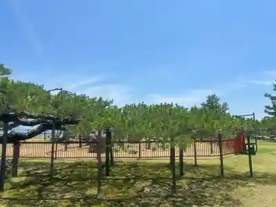 唐崎神社の{uncategorized: "未分類", other: "その他", undefined: "問題あり", building: "その他建物", grave: "お墓", sacred_gate: "鳥居", guardian: "狛犬", statue: "像", buddha: "仏像", history: "歴史", nature: "自然", garden: "庭園", animal: "動物", pagoda: "塔", temizu: "手水舎", mountain_gate: "山門・神門", sanctuary: "本殿・本堂", subordinate: "末社・摂社", art: "芸術", scenery: "景色", jizo: "地蔵", ema: "絵馬", goshuin: "御朱印", omikuji: "おみくじ", items: "授与品その他", amulet: "お守り", goshuincho: "御朱印帳", eats: "食事", festival: "お祭り", votive_dance: "神楽", shichigosan: "七五三参", wedding: "結婚式", experience: "体験その他", initially: "初詣", around: "周辺", anti_infection: "感染症対策"}