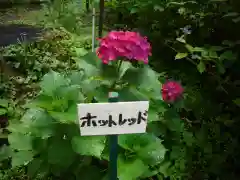 鷲子山上神社の自然