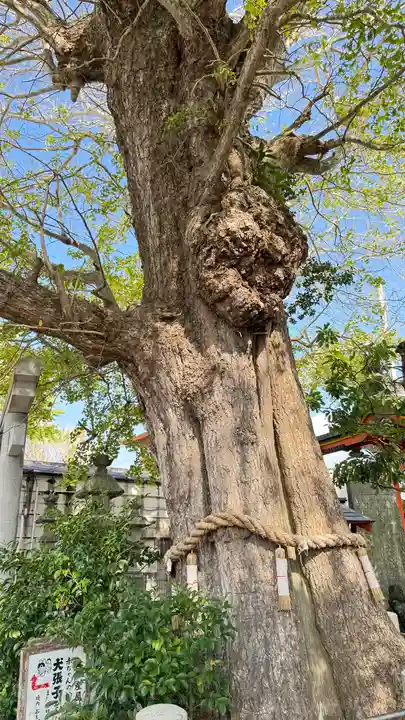 銚港神社(千葉県)