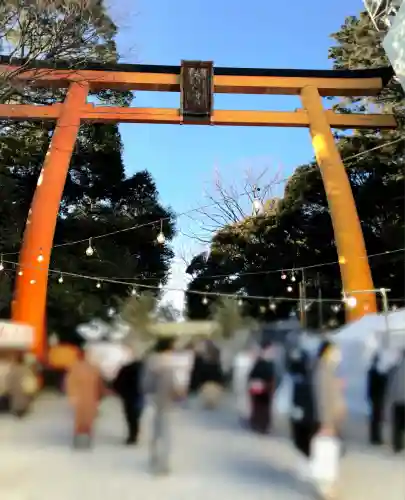 川越氷川神社(埼玉県)