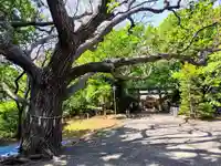 相馬神社の自然
